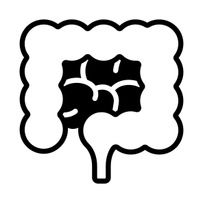 Intestine, Gut, Digestive, Organ, Anatomy icon