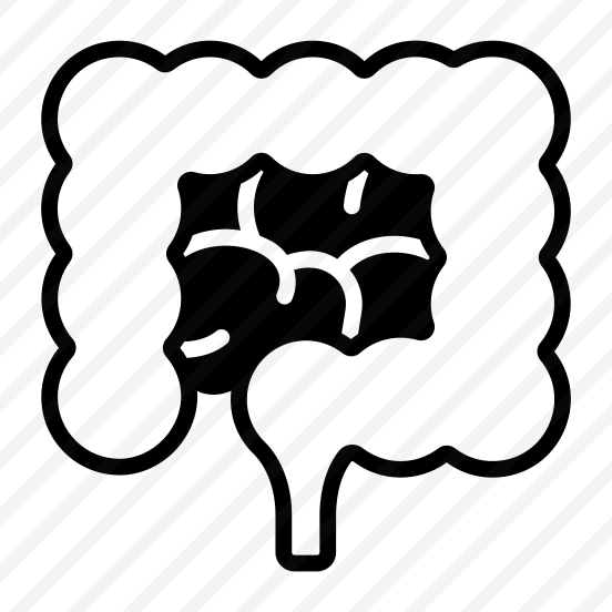 Intestine, Gut, Digestive, Organ, Anatomy preview