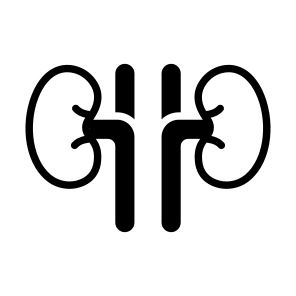 Kidneys, Renal, Urinary, Excretion, Organ icon