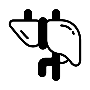 Liver, Detox, Hepatic, Organ, Anatomy icon