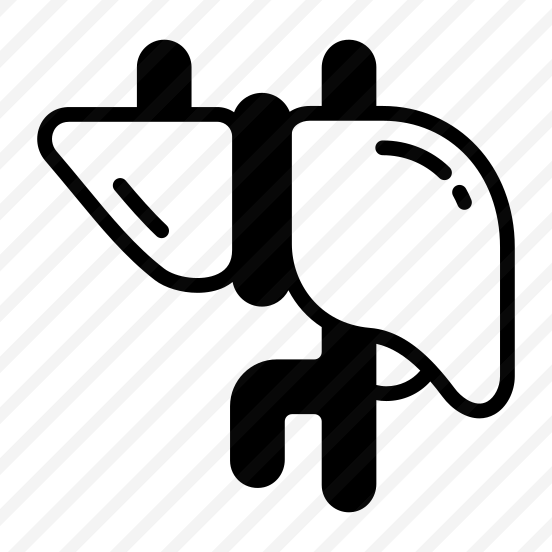 Liver, Detox, Hepatic, Organ, Anatomy preview