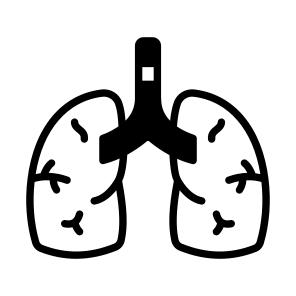 Lungs, Breathing, Respiratory, Alveoli, Pulmonary icon
