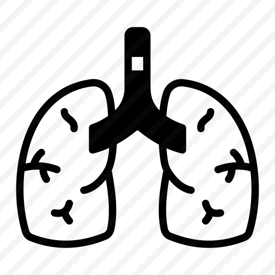 Lungs, Breathing, Respiratory, Alveoli, Pulmonary preview