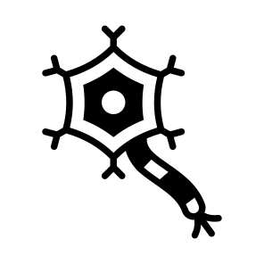 Neuron, Axon, Dendrite, Synapse, Anatomy icon