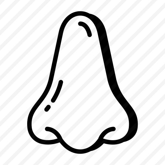 Nose, Nostrils, Olfactory, Breathing, Organ preview
