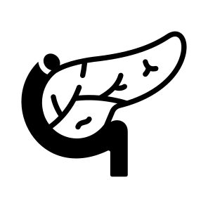 Pancreas, Organ, Gland, Digestion, Anatomy icon