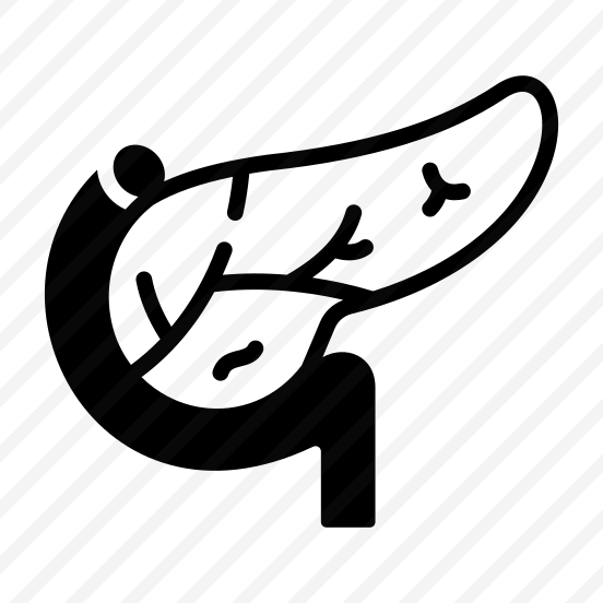 Pancreas, Organ, Gland, Digestion, Anatomy preview