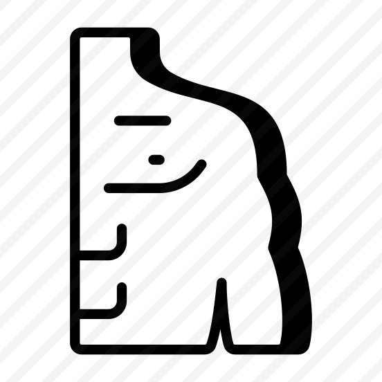 Shoulder, Joint, Muscles, Body, Scapula preview