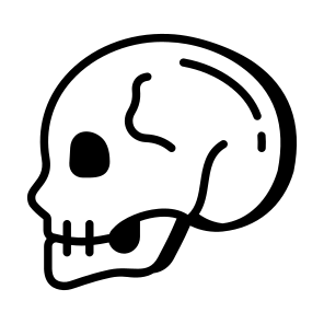Skull, Cranium, Skullcap, Head, Bone icon