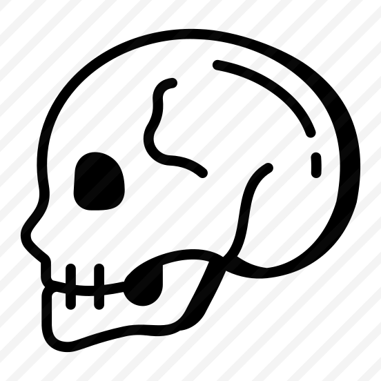 Skull, Cranium, Skullcap, Head, Bone preview