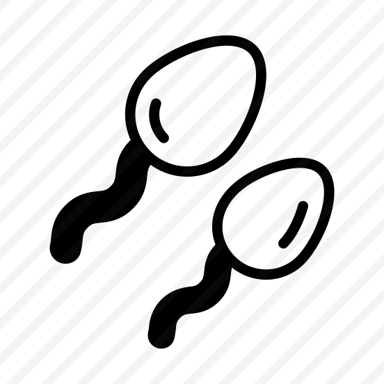 Sperms, Gametes, Cells, Reproduction, Anatomy preview