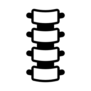 Spine, Backbone, Bones, Vertebral, Anatomy icon