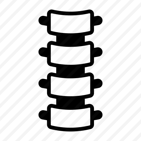 Spine, Backbone, Bones, Vertebral, Anatomy preview