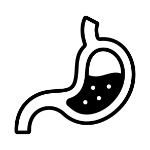 Stomach, Digestion, Gastric, Abdomen, Organ icon