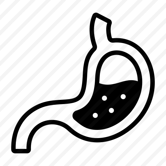 Stomach, Digestion, Gastric, Abdomen, Organ preview