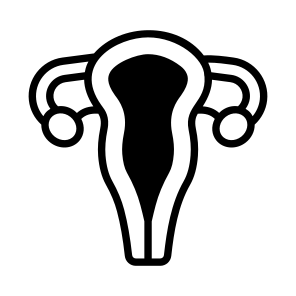 Uterus, Reproductive, Gestation, Organ, Anatomy icon
