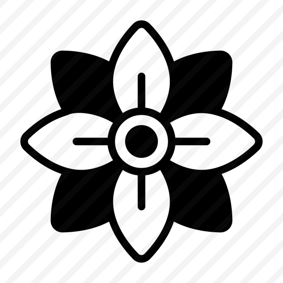 Plumeria, Flower, Floral, Blooming, Petals preview