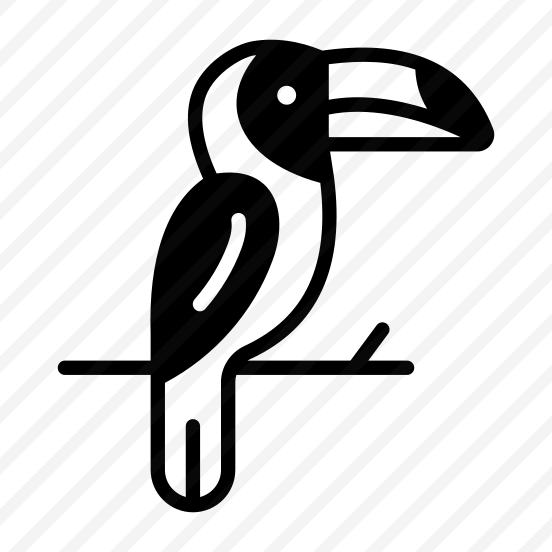 Toucan, Bird, Creature, Specie, Tropical preview