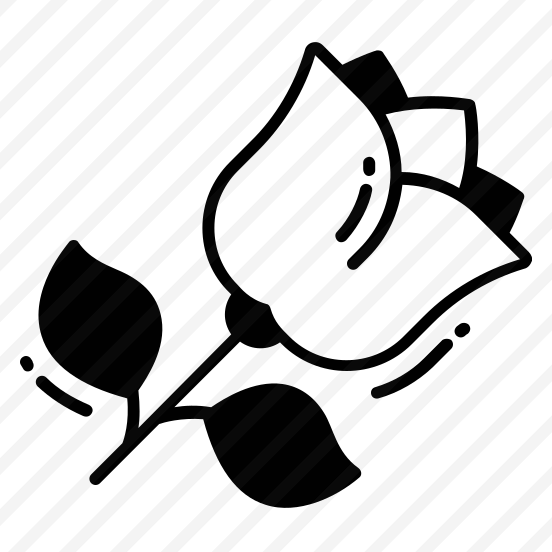 Rose, Flower, Natural, Fragrance, Blossom, preview