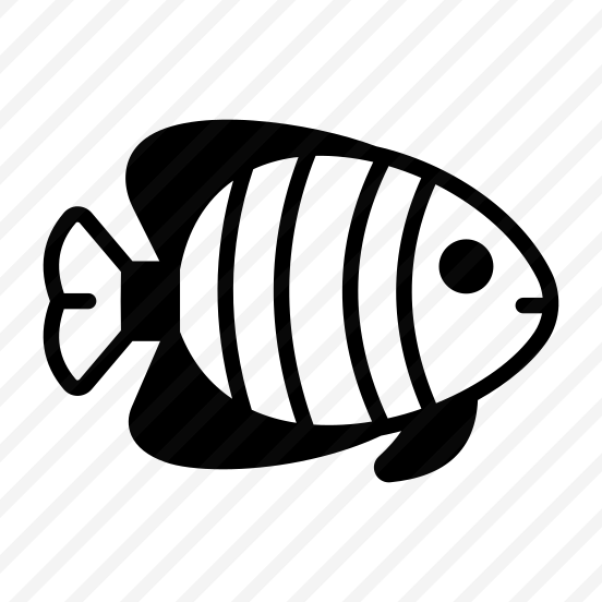 Fish, Seafish, Animal, Creature, Specie preview