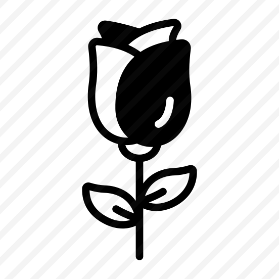 Rose, Rosebud, Flower, Floral, Blooming preview