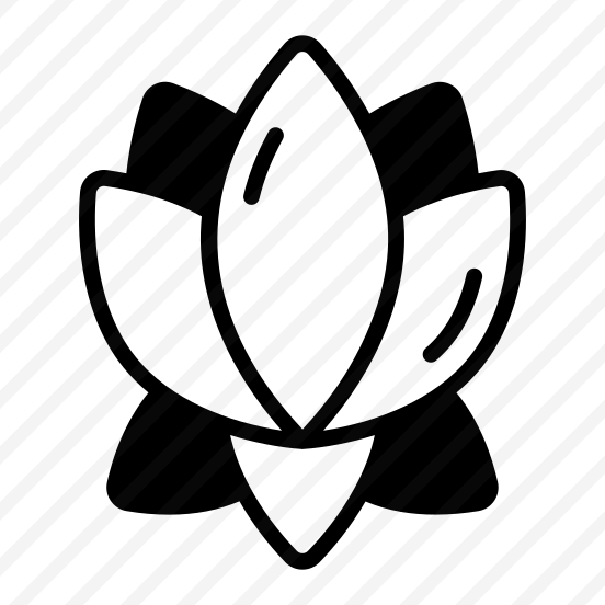 Lotus, Lily, Flower, Herbal, Extract preview