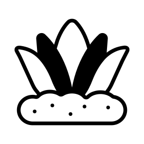 Agave, Aloe, Plant, Nature, Growing icon