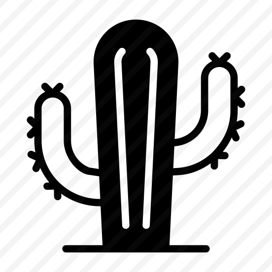 Cactus, Cacti, Succulent, Prickly, Plant preview