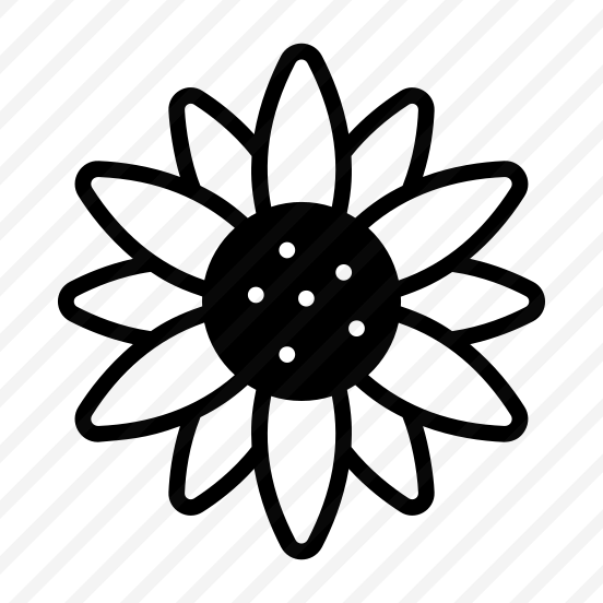 Daisy, Flower, Floral, Blooming, Petals preview