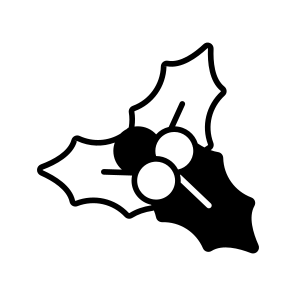 Mistletoe, Christmas, Holly, Berries, Winter, icon