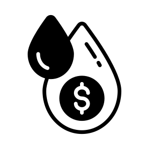 Money, Cash, Capital, Dollar, Currency icon