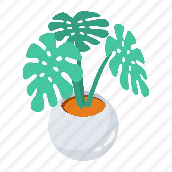 Pot, Houseplant, Indoor, Plant, Gardening preview