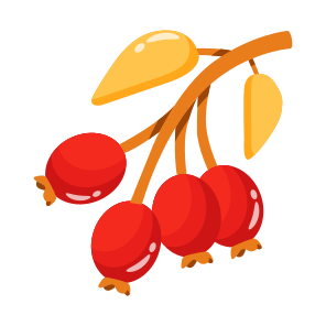 Cherries, Berries, Fruit, Stem, Food icon