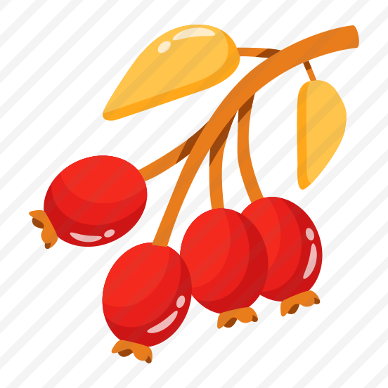 Cherries, Berries, Fruit, Stem, Food preview