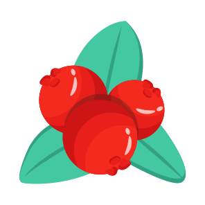 Mistletoes, Viscum, Berries, Cherries, Fruit icon