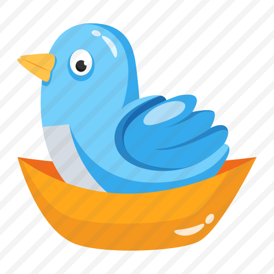 Bird, Chick, Duckling, Creature, Specie preview