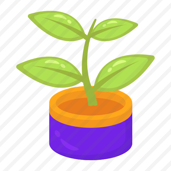 Plant, Houseplant, Pot, Nature, Eco preview