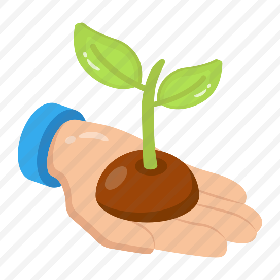 Sapling, Growing, Plant, Nature, Eco,, preview