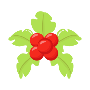 Mistletoes, Berries, Cherries, Fruit, Food icon
