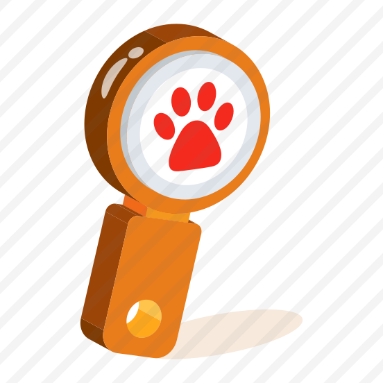 Comb, Grooming, Tool, Equipment, Paw preview