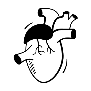 Heart, Cardiovascular, Anatomy, Human, Cardiology icon