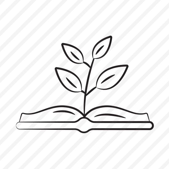 Growth, Botany, Plant, Research, Knowledge preview