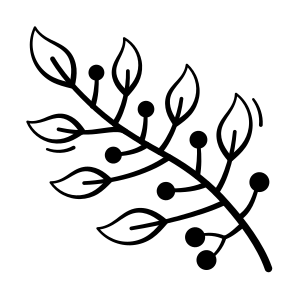 Berries, Branch, Nature, Organic, Seasonal icon