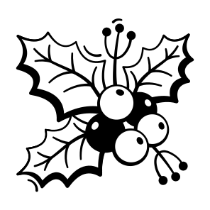Mistletoe, Christmas, Holly, Berries, Winter icon
