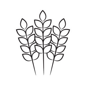 Grains, Flour, Wheat, Food, Grocery, icon