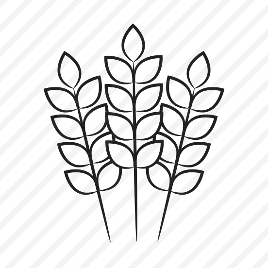 Grains, Flour, Wheat, Food, Grocery, preview