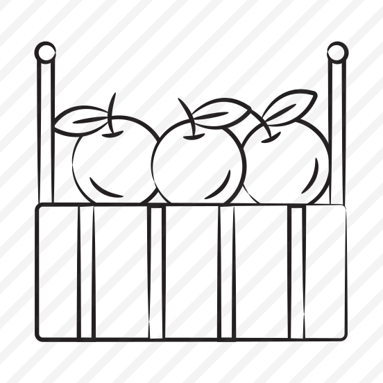 Grocery, Fruit, Oranges, Buy, Purchase preview