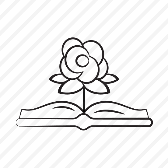 Book, Bible, Holy, Novel, Reading preview