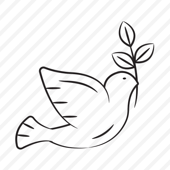 Dove, Bird, Peace, Flying, Creature preview