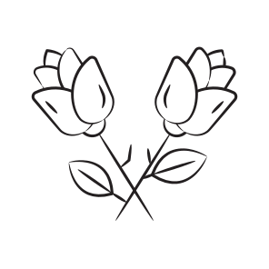 Roses, Rosebuds, Flower, Floral, Propose icon